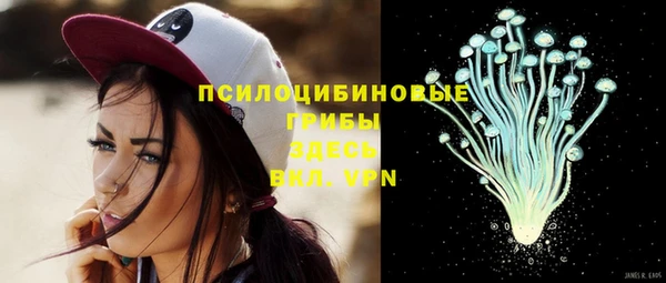 дживик Покачи