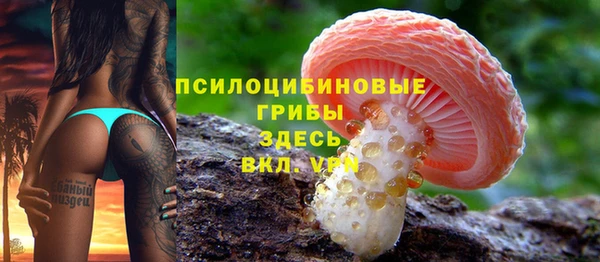 spice Покров