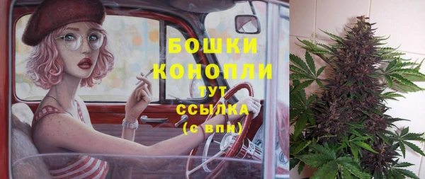 дживик Покачи